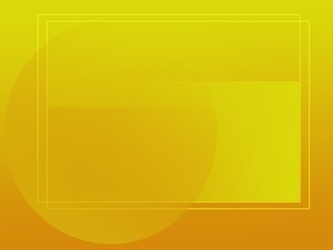 报关物流